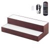LED Lighted Liquor Bottle Display, 2-Tier 16 Inch Whiskey Rack, Supports USB, Illuminated Home Bar Shelf with RF Remote & App Control, 7 Static Colors