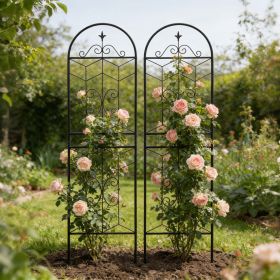2 Pack Metal Garden Trellis 71" x 19.7" Rustproof Trellis for Climbing Plants Outdoor Flower Support Black