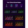 LED Lighted Liquor Bottle Display, 2-Tier 30-Inch Whiskey Rack, Support USB, Illuminated Home Bar Shelf with RF Remote & App Control, 7 Static Colors