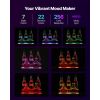 LED Lighted Liquor Bottle Display, 2-Tier 16 Inch Whiskey Rack, Supports USB, Illuminated Home Bar Shelf with RF Remote & App Control, 7 Static Colors