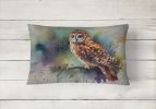 Watercolor Birds Throw Pillow Throw Pillow for Indoor Couch Bed Outdoor Patio Washable, Tawny Owl 3278,12Hx16W