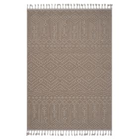5X7 Natural /Traditional Indoor/Outdoor Area Rug