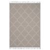 4X6 Ivory /Trellis Indoor/Outdoor Area Rug