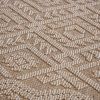 4X6 Natural /Traditional Indoor/Outdoor Area Rug
