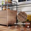 2-Tier Shelf PE Rattan Outdoor Bar Table, Glass Top Outdoor Serving Cart with Cabinet, Mixed Brown