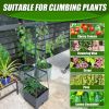 2-Pack 44.8" Self-Watering Tomato Planter with Trellis  Heavy-Duty Indoor & Outdoor Raised Garden Box, Built-in Trapezoid Climbing Grid for Tomatoes,