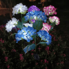 4-piece set of outdoor solar courtyard lights - larger and more realistic embroidered ball flower lights