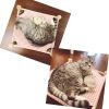 Cat & Dog Hammock Bed “ Wooden Elevated Pet Cot with Breathable Mesh “ Raised Cat Bed for Small Pets